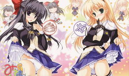 动漫后宫之旅,穿越动漫世界的浪漫冒险